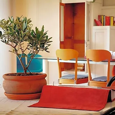 Ai Quattro Ulivi Frühstückspension 4*
