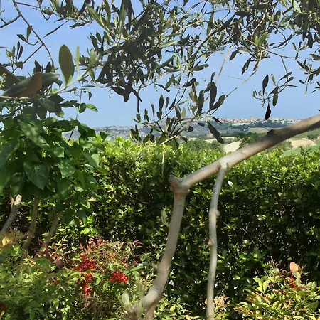 Bed and Breakfast Ai Quattro Ulivi 4*