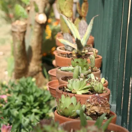 Ai Quattro Ulivi 4* Monte Urano